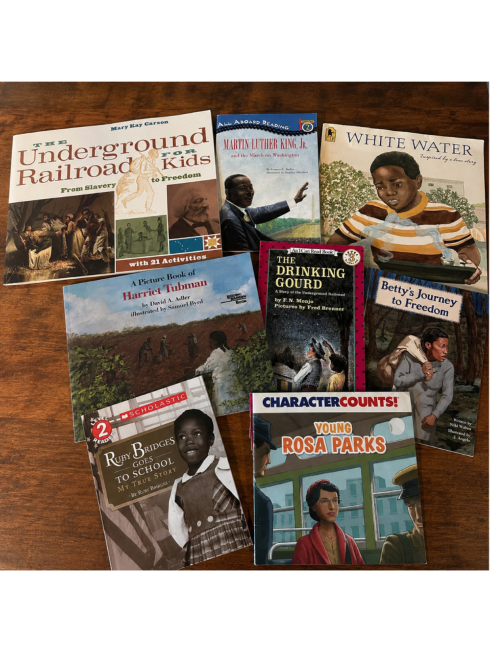 Children's History Book Lot MLK Harriet Tubman Ruby Bridges Underground 8 Books